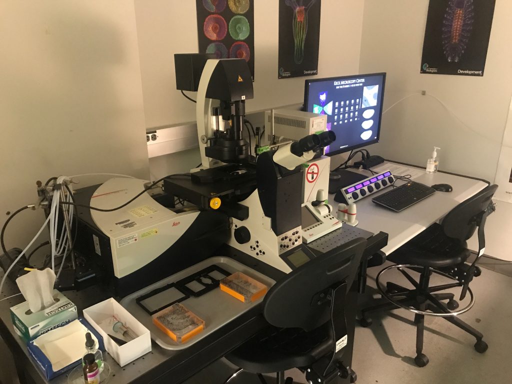 Equipment — W. M. Keck Microscopy Center